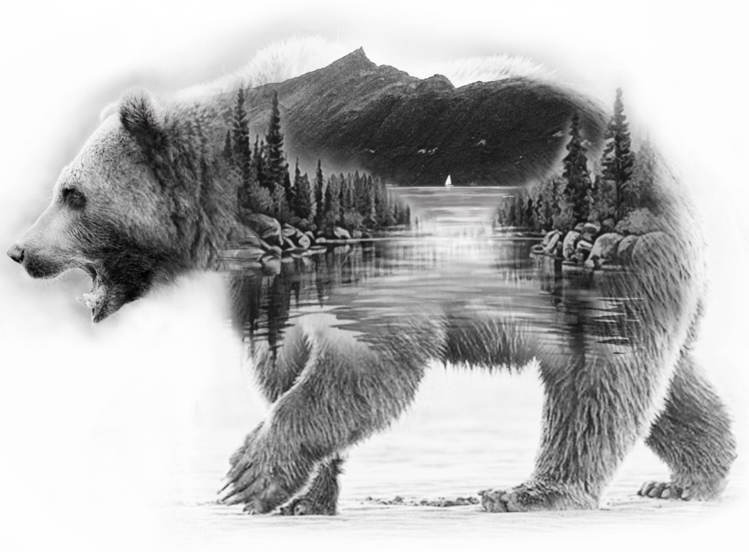 Carroussel_Original_1080